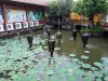 NH LÀNG VIỆT.jpg