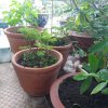 20170528_151402.jpg