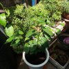 20170529_092958.jpg