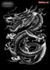 rồng.jpg