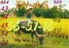 48b00138_chan_20trau_1908339803.jpg