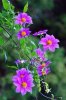 IMG_20161011_214650.jpg