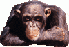 59563122.gif
