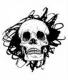 zippo_vt