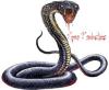 Ngày Huế Đổ Máu