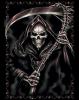 Minh satthu_Win
