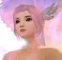 vanveo_online