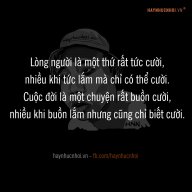 soái cả 7 999