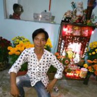 hoa son