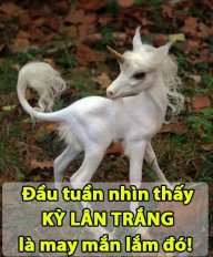 Lục Ánh 44