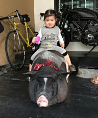 Trí thức yêu nước