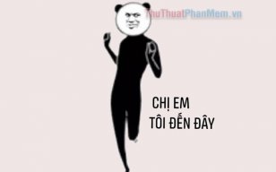 BỒ ĐỀ SINH
