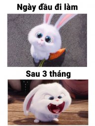 Hứa yến nhi