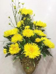 Thích cho số 0123