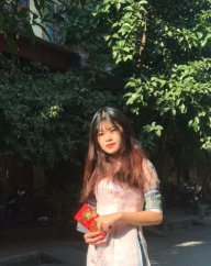 Bơ Đậu