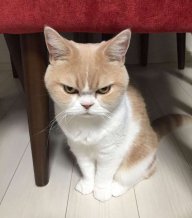 ꧁༺J꙰O꙰K꙰E꙰R꙰༻꧂