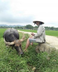 Haidối