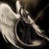 mr_angel_vn