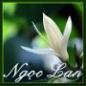 Ngọc Lan