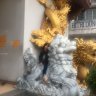 linhmepx