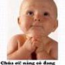toilaai