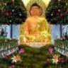 banhvanpho