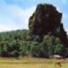 thachdong