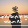 người vui