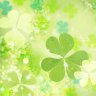 ☘ Cỏ Ba Lá ☘