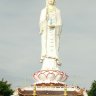 Võ văn cận