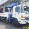 hinotruonglong