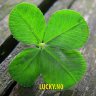Lucky.N0