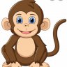 Trandan11