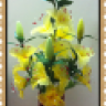 chivquchi@ymail.com