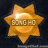 song hổ
