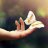 __Hồ Điệp Ƹ̵̡ӝ̵̨̄ʒ