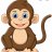 Trandan11