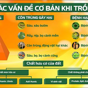 PHAN-TICH-VAN-DE-KHI-TRONG-CAY (1)