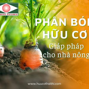 Phan-bon-huu-co-thai-thi