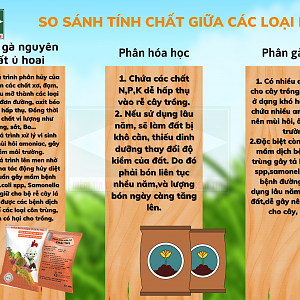 So-sanh-tinh-chat-cac-loai-phan