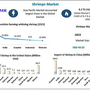 Shrimps-Market
