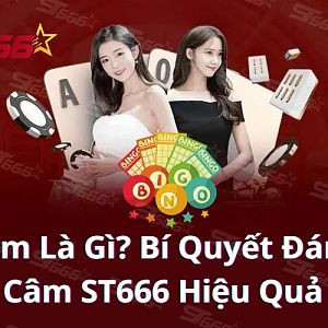 Lô Câm Là Gì? Bí Quyết Đánh Lô Câm ST666 Hiệu Quả