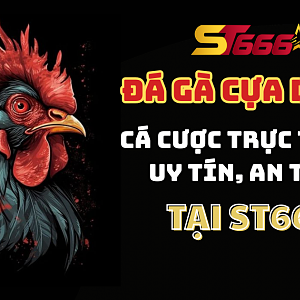 Đá Gà Cựa Dao | Cá Cược Trực Tuyến Uy Tín, An Toàn Tại ST666