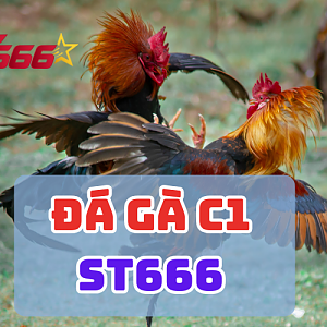 Đá gà C1 ST666