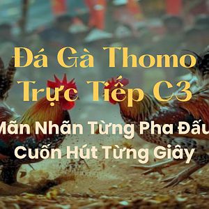 Da-ga-thomo-truc-tiep-c3