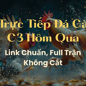 Truc-tiep-da-ga-c3-hom-qua