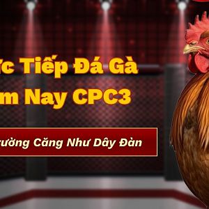 Truc-tiep-da-ga-hom-nay-cpc3