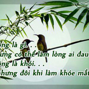 A-NHOI LONG