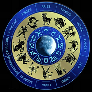 biểu đồ 12 cung