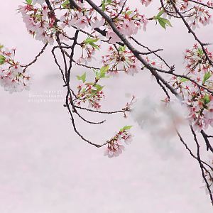 674db1d3jw1f2vdpw2ec1j215o0pstnh